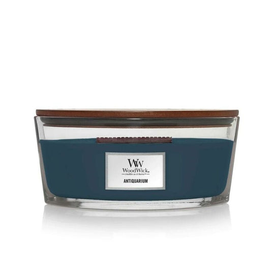 WoodWick Antiquarium Ellipse Candle - Yankee Candle & WoodWick