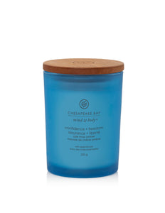 Chesapeake Bay Oak Moss Amber Medium Candle - Yankee Candle & WoodWick