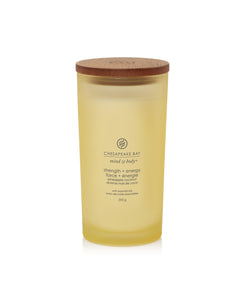 Chesapeake Bay Pineapple Coconut Large Candle - Yankee Candle & WoodWick