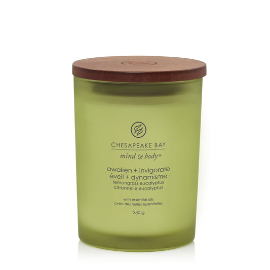 Chesapeake Bay Lemongrass Eucalyptus Medium Candle - Yankee Candle & WoodWick