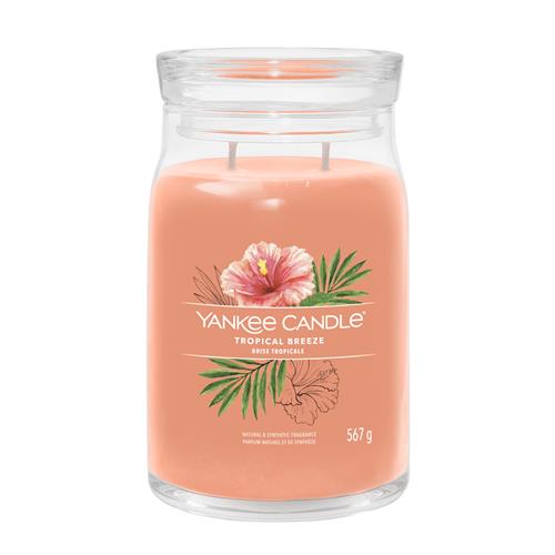 Yankee Candle Tropical Breeze Large Jar - Shop Hier