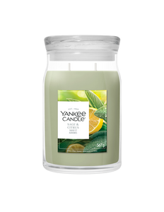 Yankee Candle Sage & Citrus Large Jar online bestellen