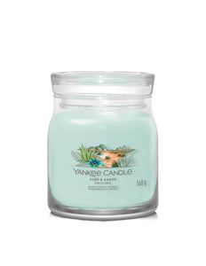 Yankee Candle Aloe & Agave Medium Jar - Yankee Candle & WoodWick