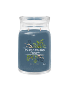 Yankee Candle Bayside Cedar Large Jar - Yankee Candle & WoodWick