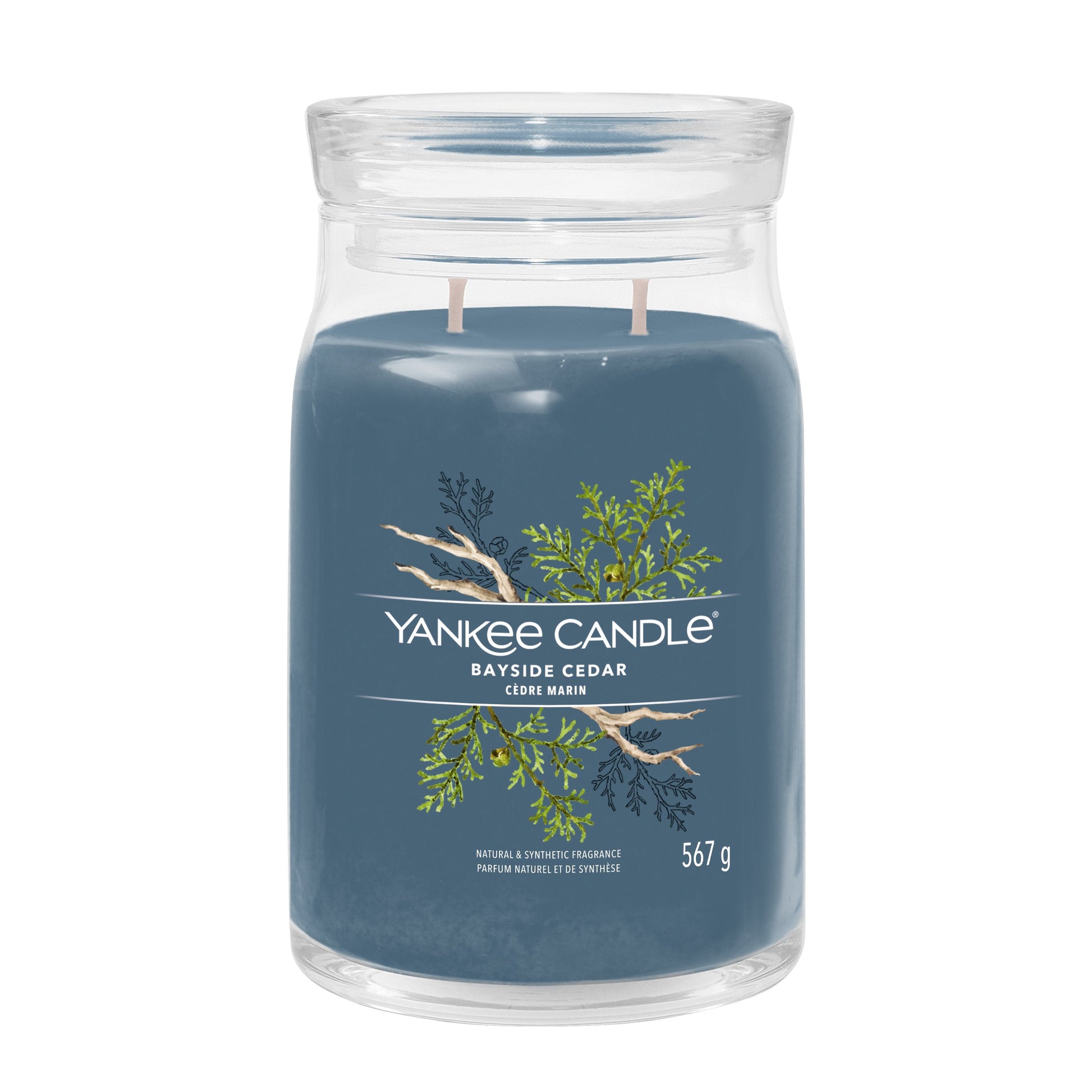 Yankee Candle Bayside Cedar Large Jar - Yankee Candle & WoodWick