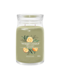 Yankee Candle Sage & Citrus Large Jar - Yankee Candle & WoodWick