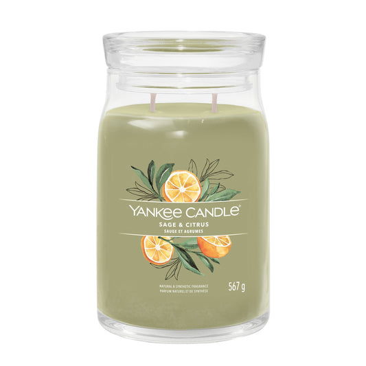 Yankee Candle Sage & Citrus Large Jar - Yankee Candle & WoodWick