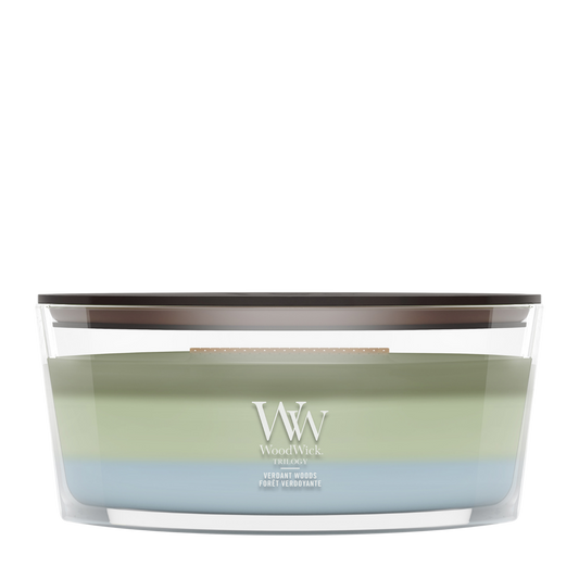 WoodWick Verdant Woods Ellipse Trilogy Candle online bestellen