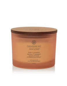 Chesapeake Bay Grapefruit Mango 3-Wick Candle - Shop Hier