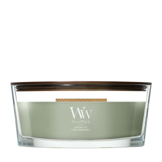 WoodWick Verdant Fig Ellipse Candle online bestellen