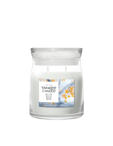 Yankee Candle Silver Birch Medium Jar