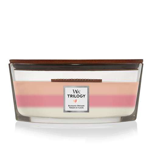 WoodWick Trilogy Blooming Orchard Ellipse Candle bestellen